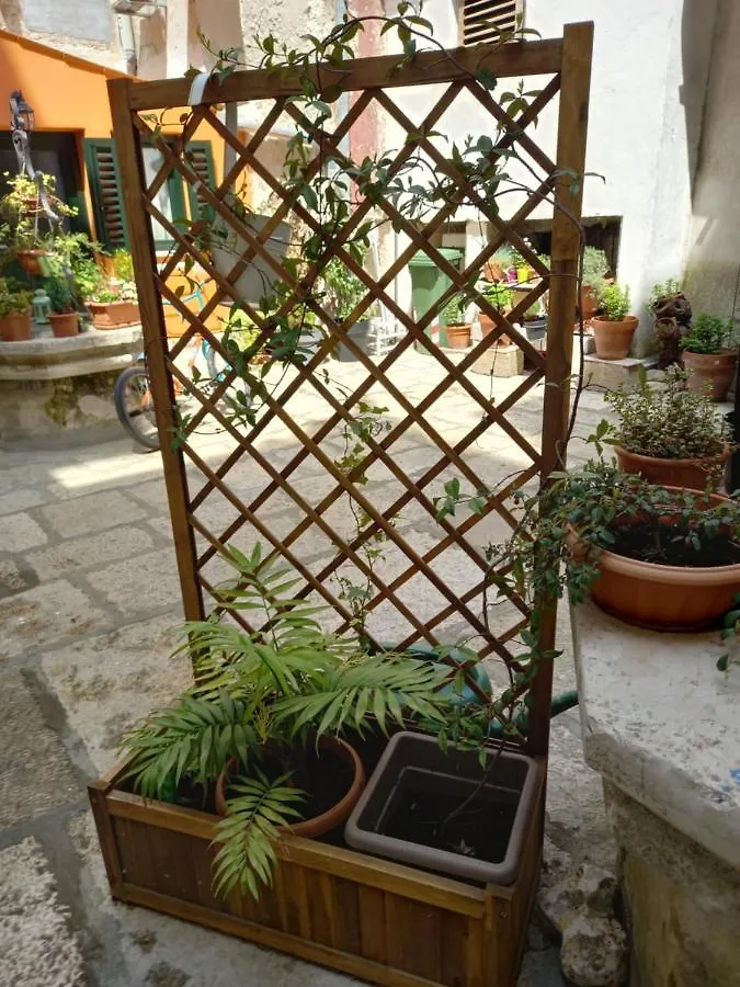 רוביני Bunari Studio Apartment